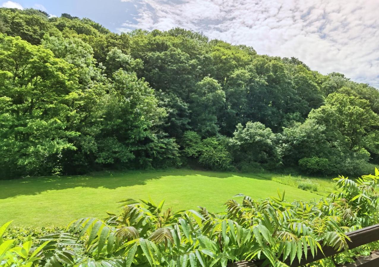 Gorgeous At Crackington Haven, Near And Boscastle, Cornwall Holiday home Bude