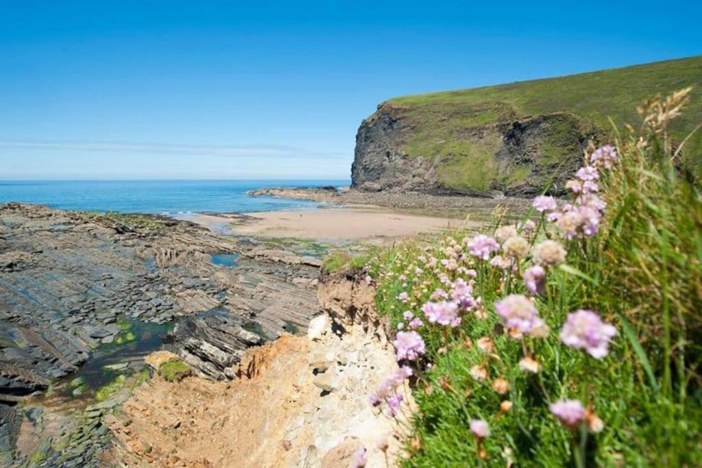 Gorgeous At Crackington Haven, Near And Boscastle, Cornwall Holiday home *