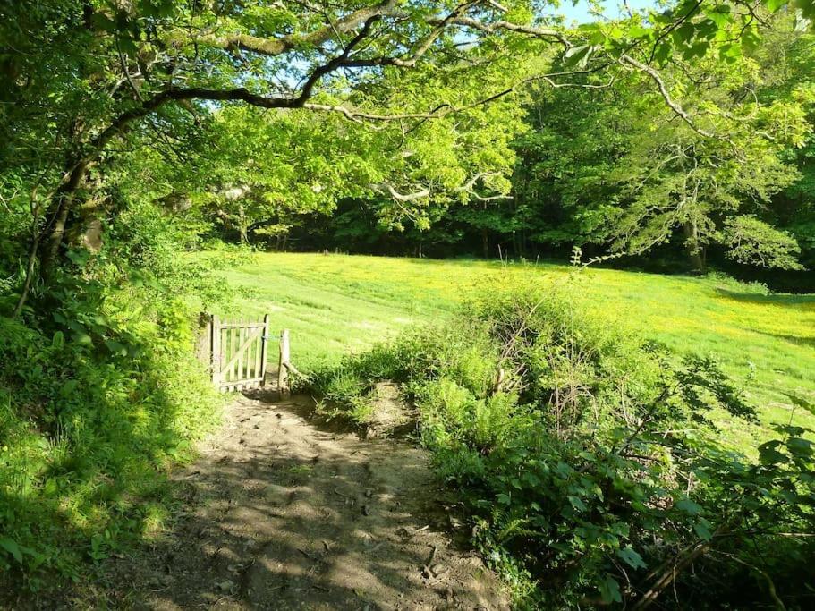 Gorgeous At Crackington Haven, Near And Boscastle, Cornwall Holiday home